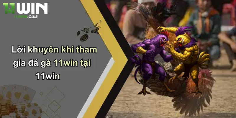 Lời khuyên khi tham gia đá gà 11win tại 11win