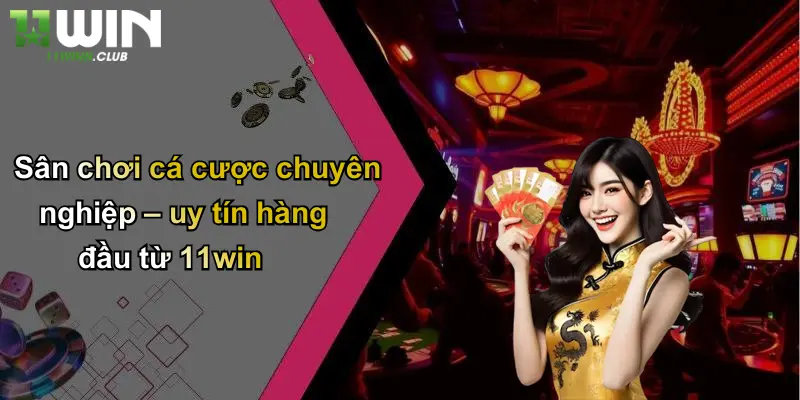 Sân chơi cá cược chuyên nghiệp – uy tín hàng đầu từ 11win