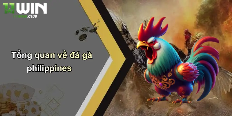 Đá Gà Philippines: Đỉnh Cao Giải Trí Cá Cược Hấp Dẫn Tại 11WIN 1 Tổng quan về đá gà philippines