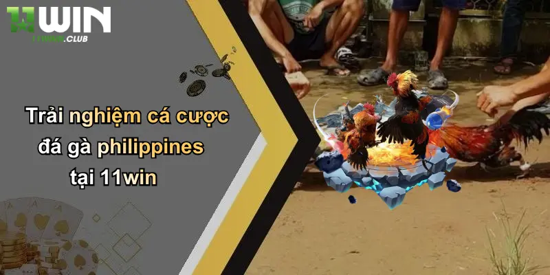 Đá Gà Philippines: Đỉnh Cao Giải Trí Cá Cược Hấp Dẫn Tại 11WIN 3 Trải nghiệm cá cược đá gà philippines tại 11win
